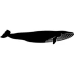 Silueta vektorové ilustrace velryby