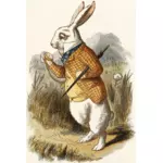 Dressed up rabbit