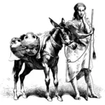 Wanita dan keledai