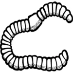 Vector clip art of worm line art
