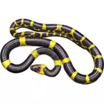 黄色和黑色的蛇