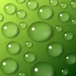 Water druppels op groene achtergrond vector afbeelding