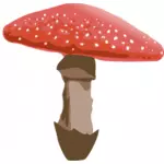 Punainen sieni, jossa on sikoja