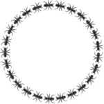 Clipart vetorial de borda circular de formiga padrão
