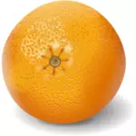 Oranje fruit glinsterende clip art