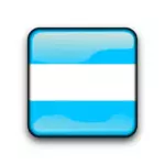 Argentyna przycisk błyszczący flaga