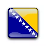 Bosnien och Hercegovinas flagga knappen