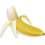Vektor Zeichnung der Hälfte geschälte Banane