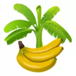 Planta de banano colorido con frutas por debajo de la gráfica