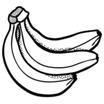 Bündel von Bananen
