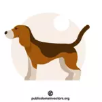 Beagle köpeği