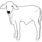Male calf line art vector image