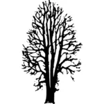 बीच की पेड़ वेक्टर छवि