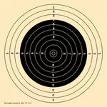 10m pistol shooting target vector image