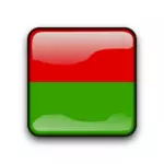 Burkina Fasos flagga knappen