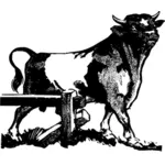 Vector clip art of bull braking fence