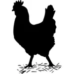 Illustration vectorielle de poulet silhouette