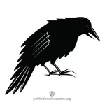 Černá Vrána