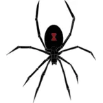 Black widow păianjen grafică vectorială