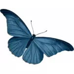 Farfalla blu vettoriale