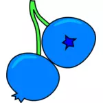 Blueberry vector image