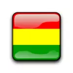 Bolivia glossy flag button