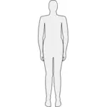 Male body silhouette vector graphics