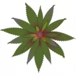 פרח ירוק Bromelia