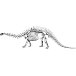 Seni klip brontosaurus kerangka vektor
