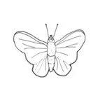 Motýl linie umění vektorový obrázek