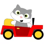 Gato, dirigindo um carro
