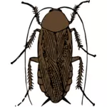 Brown cockroach