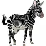 Vektör grafikler renk zebra hayvanı