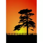Cedar trees silhouette vector image