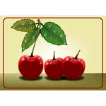 Sweet cherries vector clip art