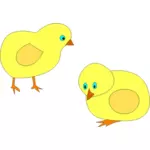 Vector afbeelding van twee gele kuikens roaming rond