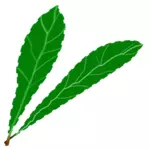 Pereche de frunze verzi