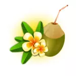 Vectorielles cocktail de noix de coco
