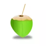 Grønne kokos vektor image