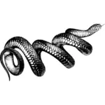 Serpent enroulé