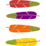 Colored feathers vector graphics