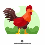 Colorful rooster outside