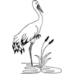 Crane in a pond vector image