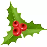 Three holly leaves with three crones vector illustration