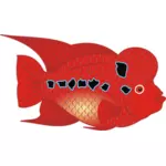 Flowerhorn मछली वेक्टर