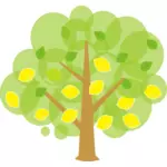 شجرة الليمون