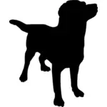 Silhouette vector graphics of dog
