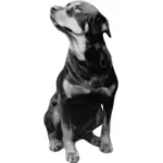 Photorealistic vector de desen de Rottweiler