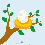 Un huevo en el nido