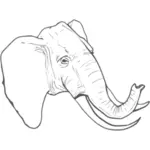 Garis seni vektor menggambar gajah